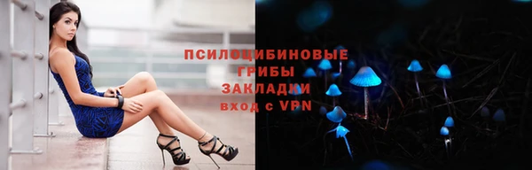мет Краснослободск