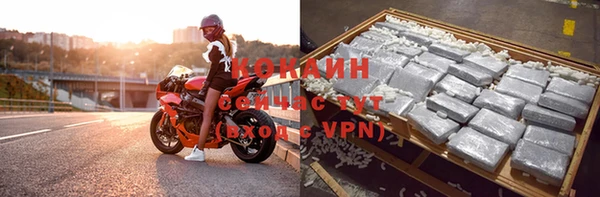 гидра Красноперекопск