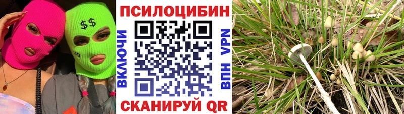 Псилоцибиновые грибы GOLDEN TEACHER  наркотики  ссылка на мегу рабочий сайт  Яблоновский 